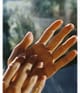 Produktbild 3 von 4, L:A Bruket Elder Handcreme