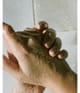 Produktbild 5 von 6, L:A Bruket Restorative Algae Handpeeling
