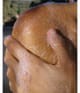 Produktbild 3 von 6, L:A Bruket No. 242 Duschgel