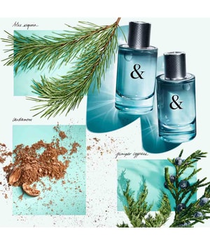 Tiffany & Co. & Love for Him Eau de Toilette online kaufen